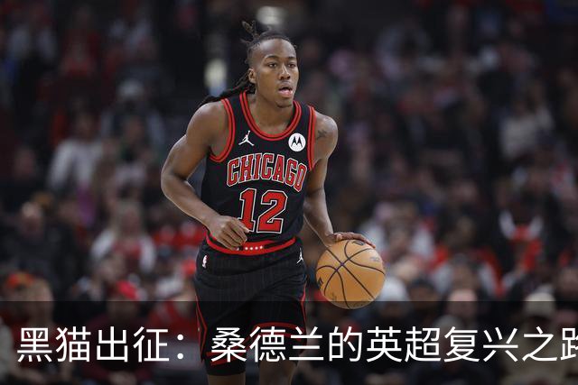 黑猫出征：桑德兰的英超复兴之路